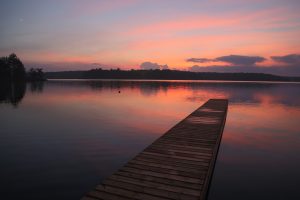 A view of Bark Lake