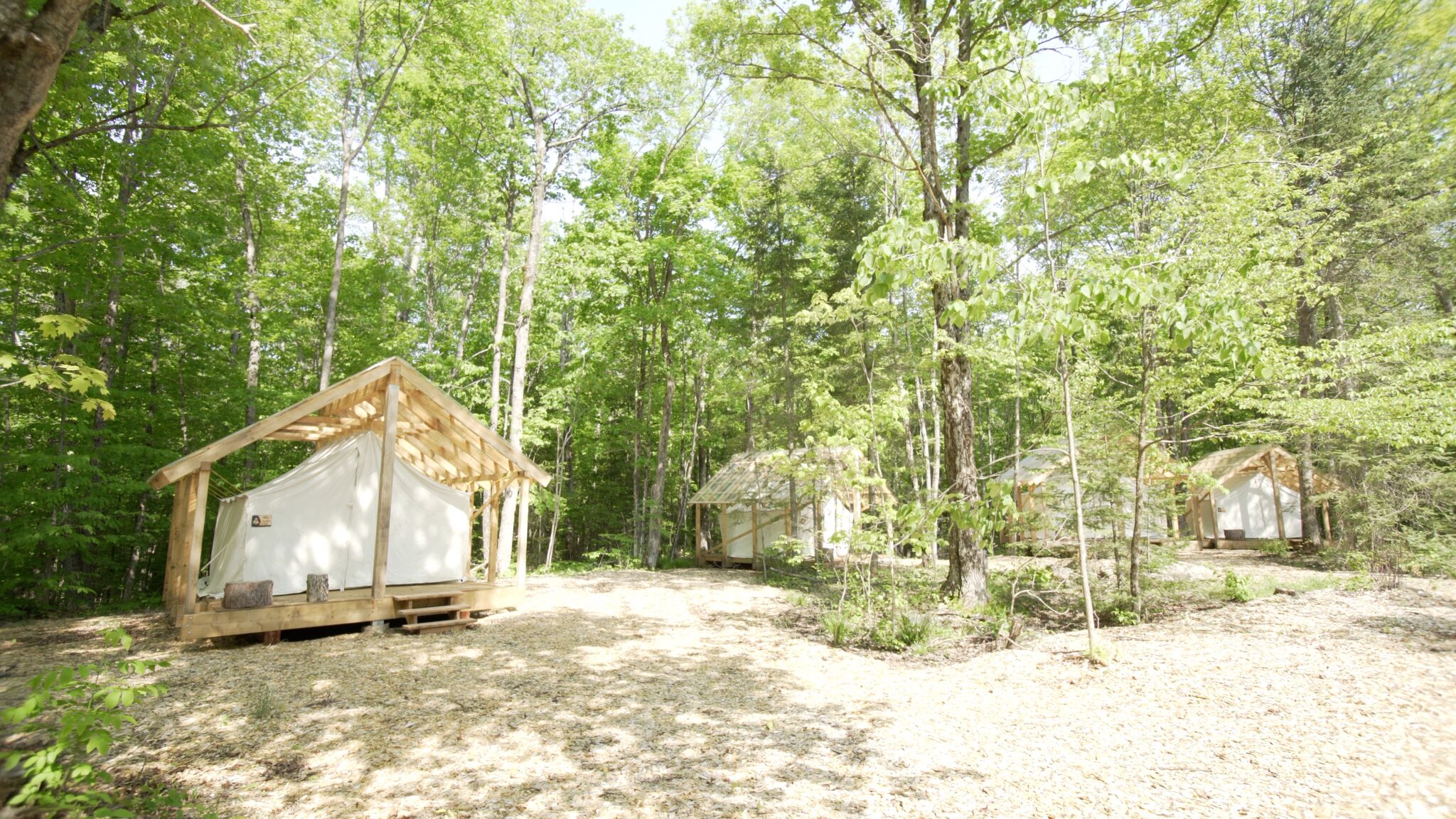 Platform Tents - Aspen Grove