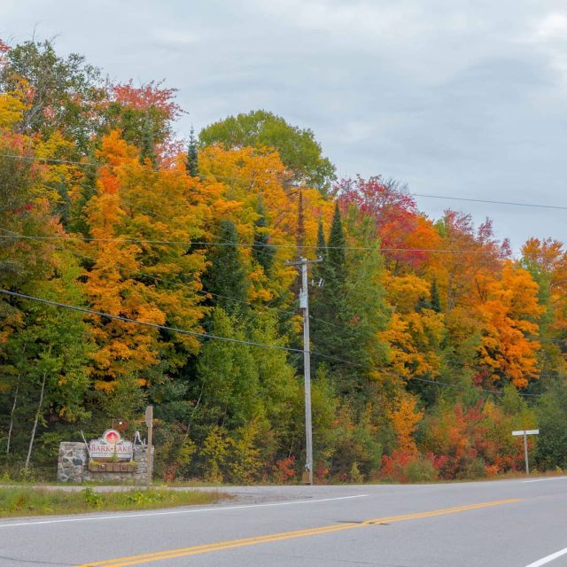 Fall colours are out in the Highlands.  Hope everyone is staying safe and healthy.